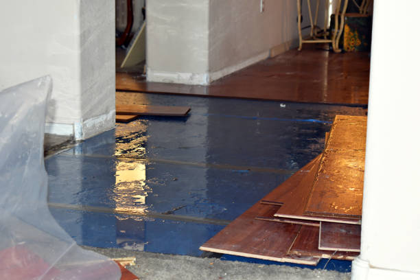 Professional Sewage Cleanup technician working in Lambert Lake, ME